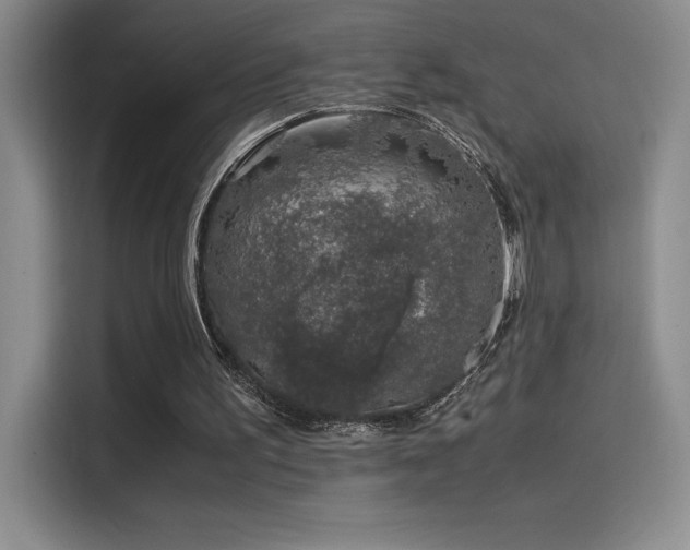 X0000116100195200911231132