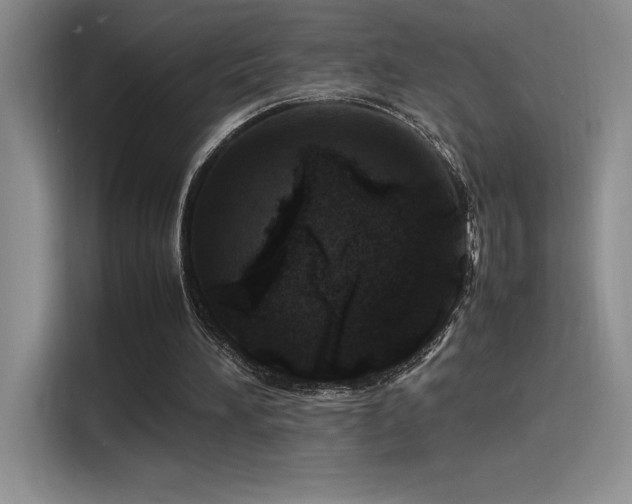 X0000116100196200911231132
