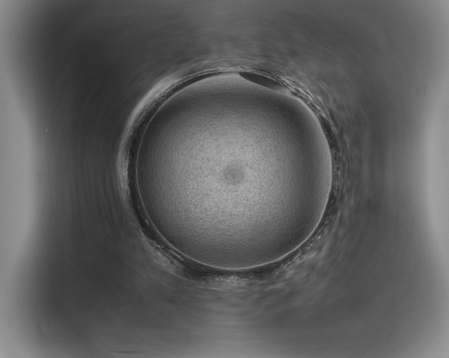 X0000116100197200911231132