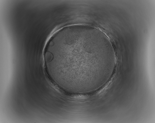 X0000116100198200911231132