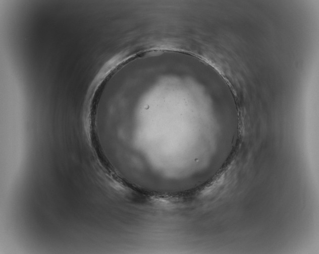 X0000116100199200911231132
