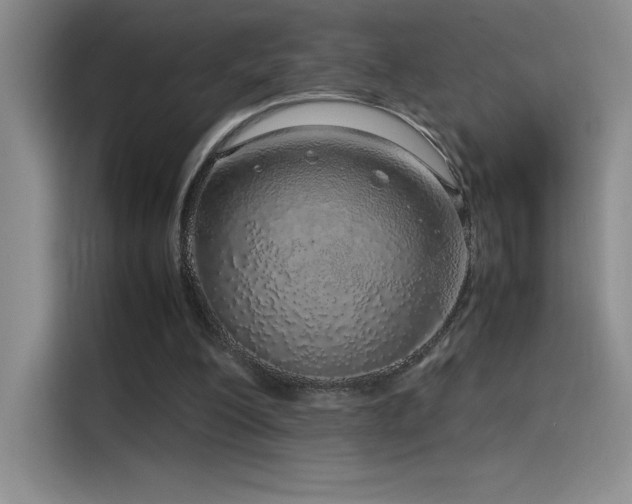 X0000116100200200911231132