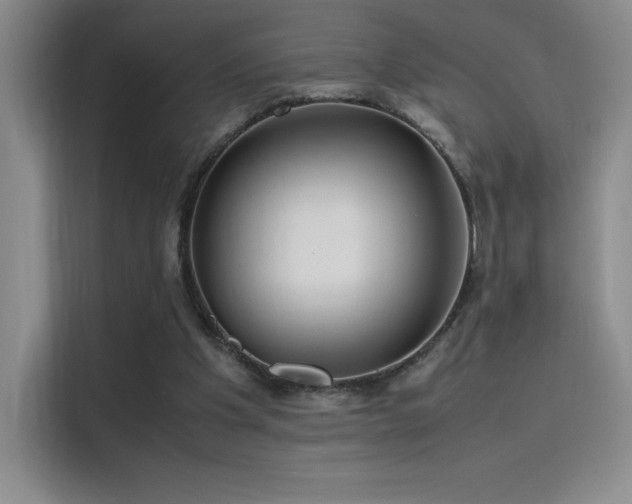X0000116100201200911231132
