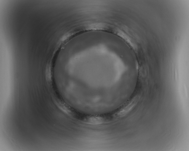 X0000116100203200911231132