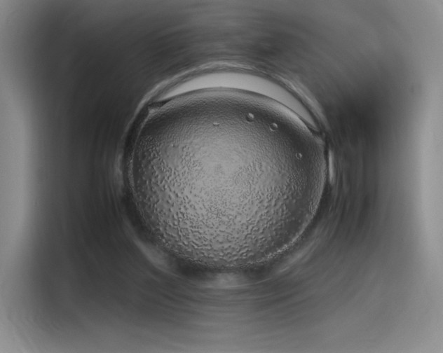 X0000116100204200911231132