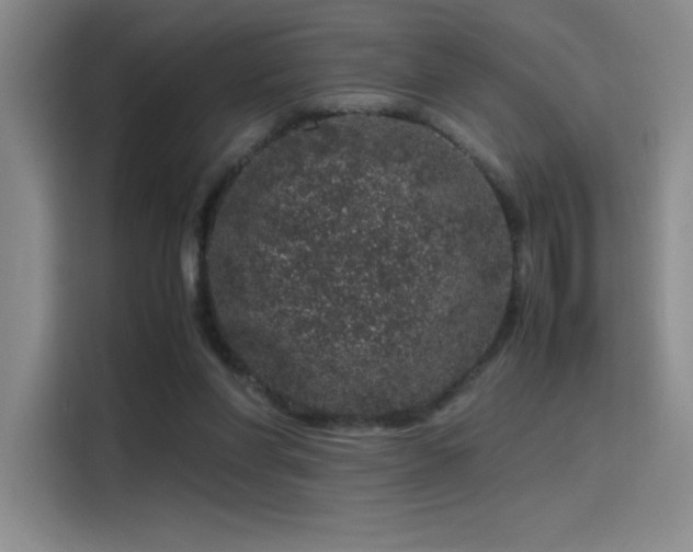 X0000116100206200911231132