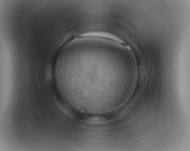 X0000116100212200911231132