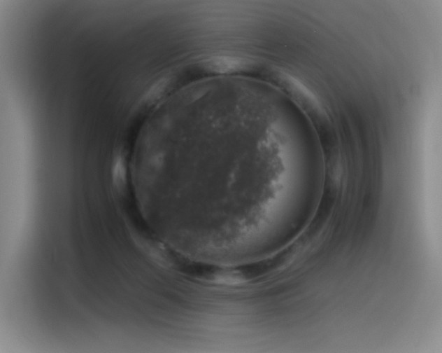 X0000116100214200911231132