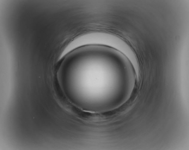 X0000116100215200911231132
