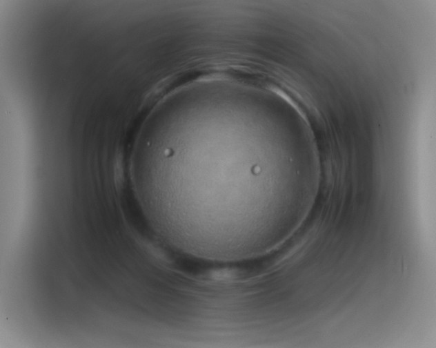 X0000116100216200911231132
