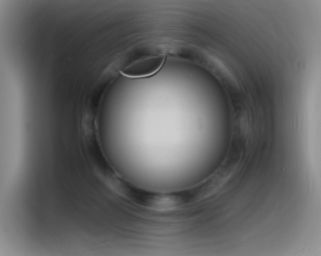 X0000116100218200911231132