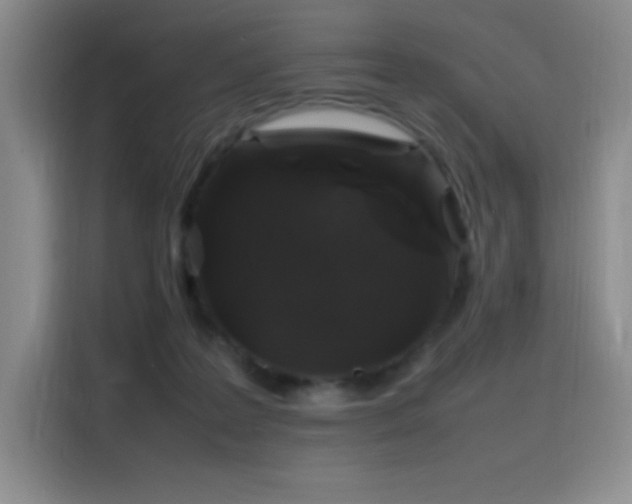 X0000116100219200911231132