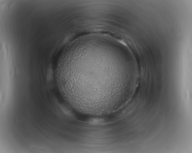 X0000116100220200911231132