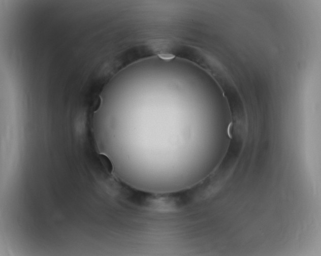 X0000116100221200911231132