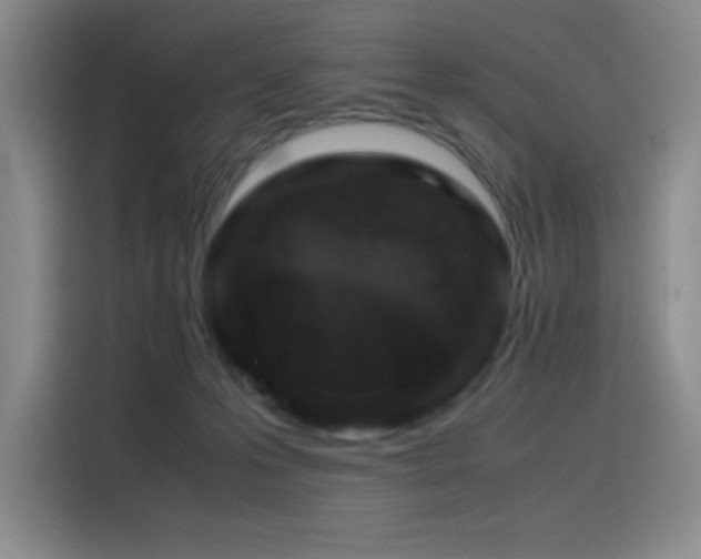X0000116100223200911231132