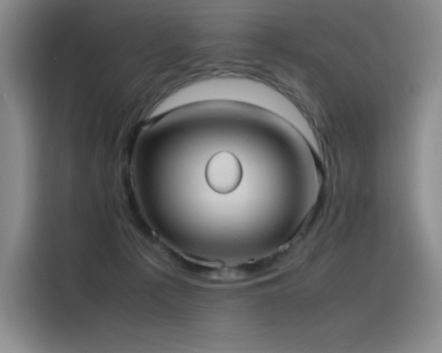 X0000116100225200911231132