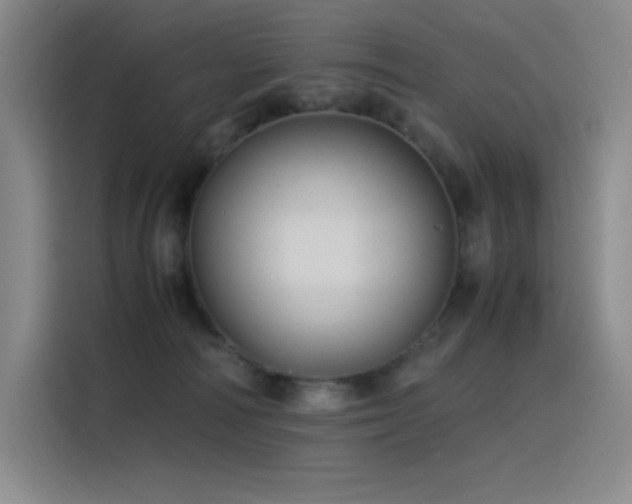 X0000116100226200911231132