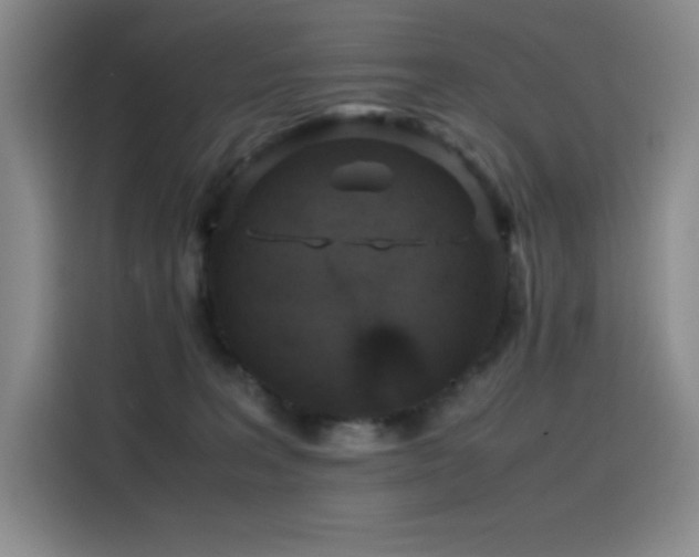 X0000116100227200911231132