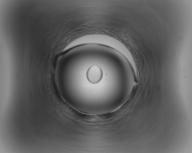 X0000116100229200911231132