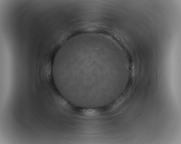 X0000116100230200911231132
