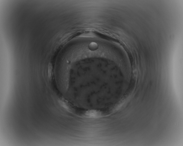 X0000116100231200911231132