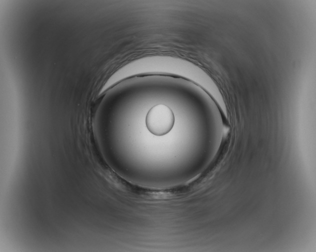 X0000116100233200911231132