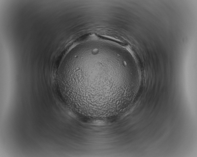 X0000116100236200911231132