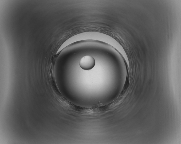 X0000116100237200911231132
