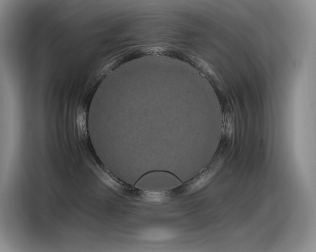 X0000116100238200911231132