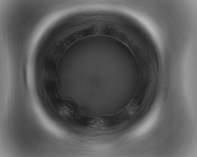 X0000116100239200911231132