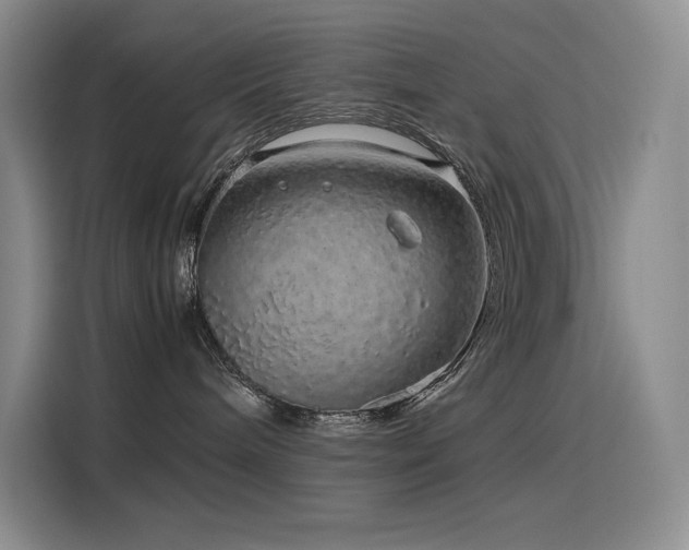 X0000116100240200911231132