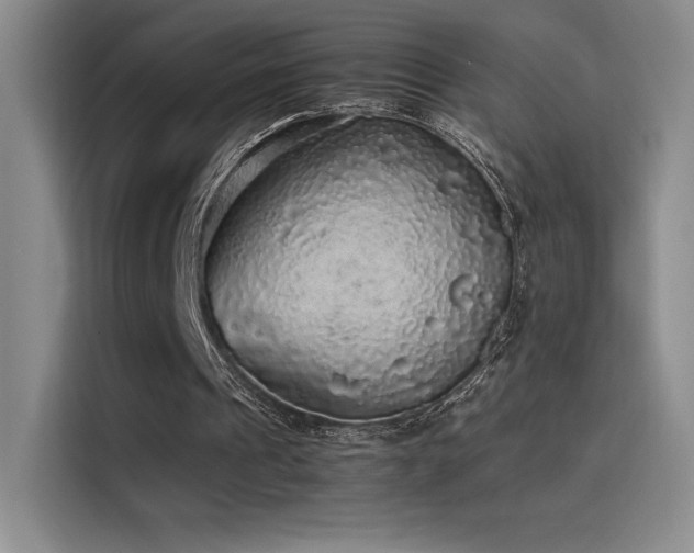 X0000116100241200911231131