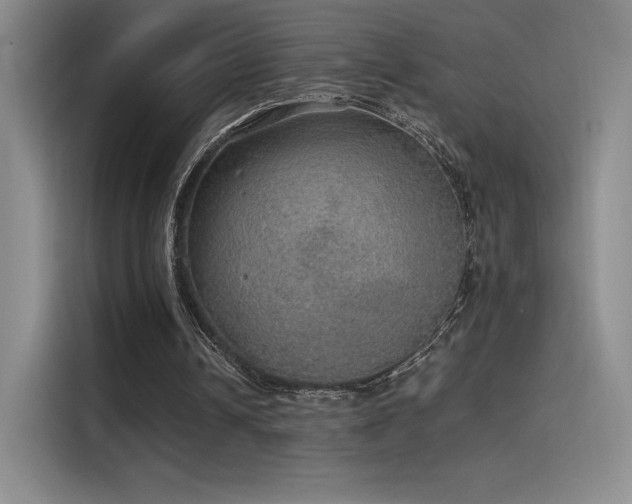 X0000116100242200911231131
