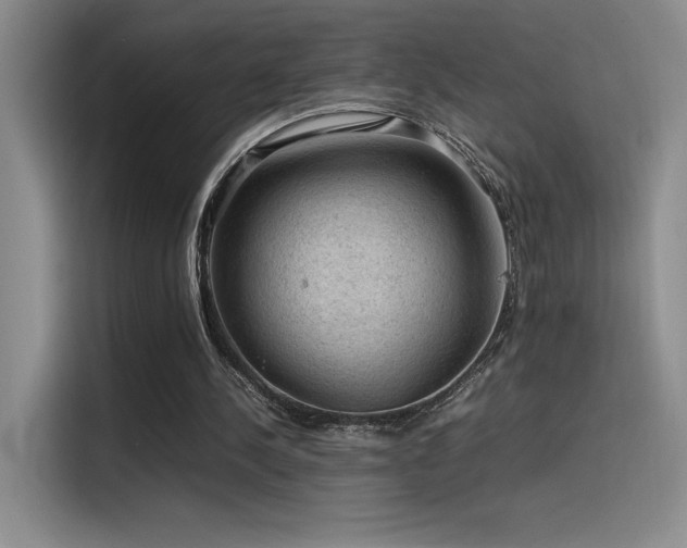 X0000116100244200911231131