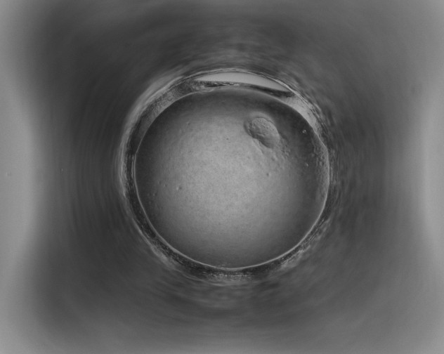 X0000116100245200911231131