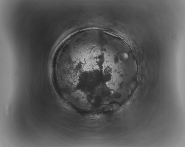 X0000116100247200911231131