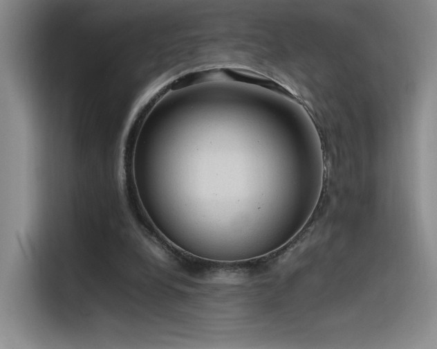 X0000116100248200911231131