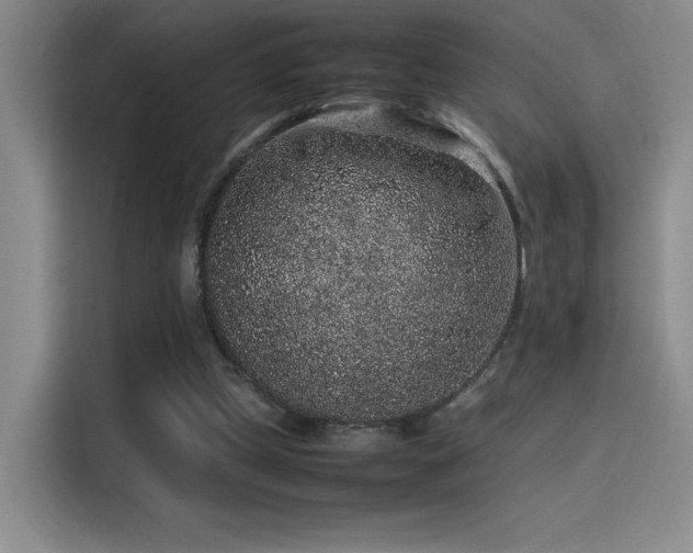 X0000116100249200911231131