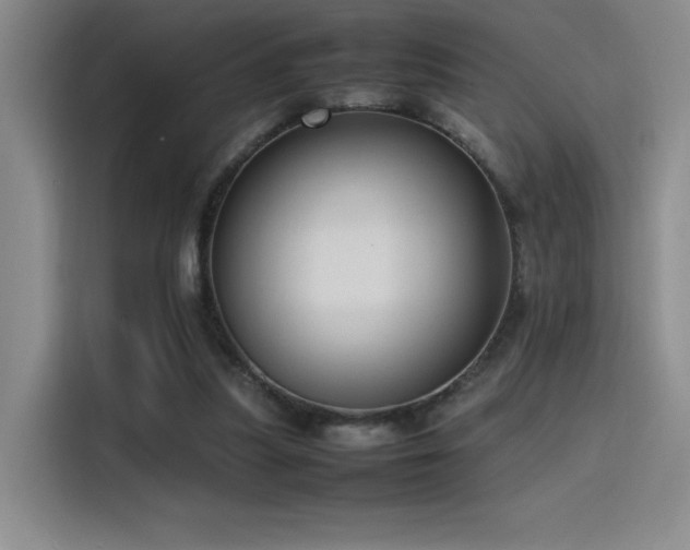 X0000116100251200911231131