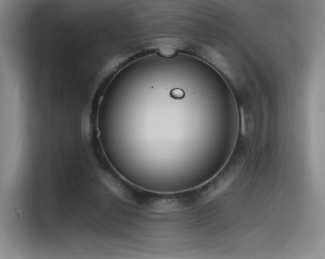 X0000116100252200911231131