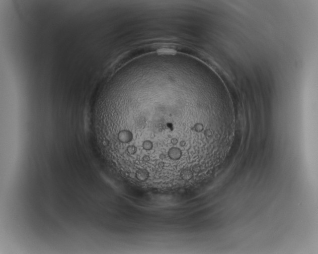 X0000116100255200911231131