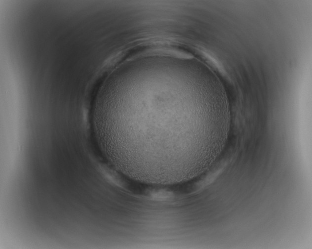 X0000116100258200911231131