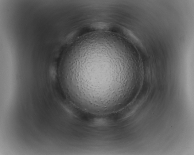 X0000116100259200911231131