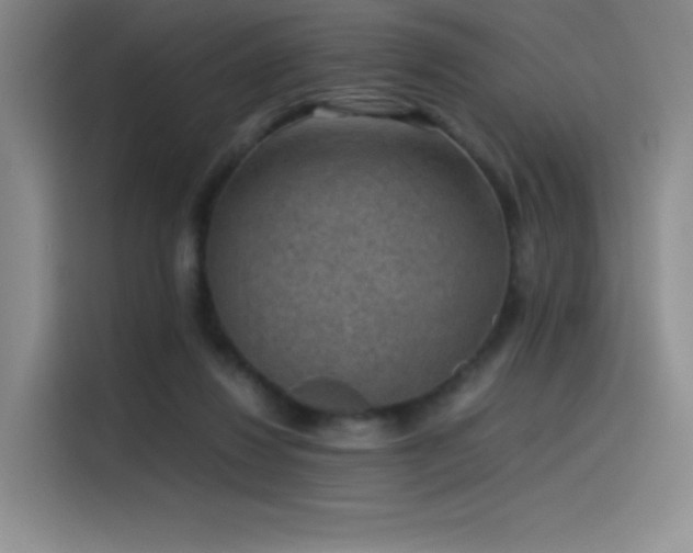 X0000116100260200911231131
