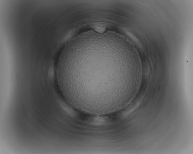 X0000116100261200911231131