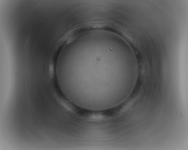 X0000116100262200911231131