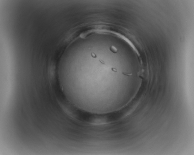 X0000116100263200911231131