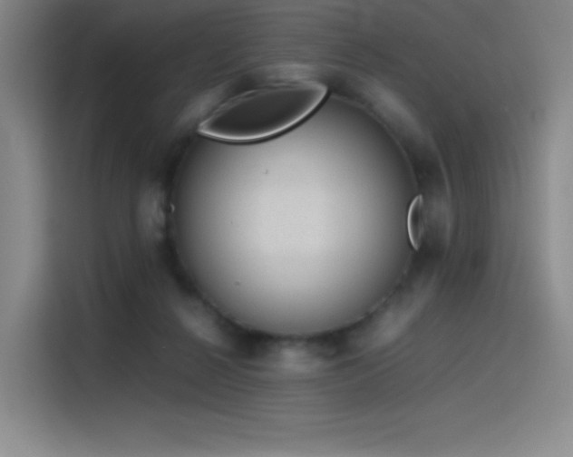 X0000116100264200911231131
