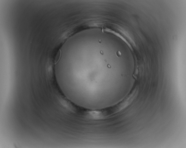 X0000116100265200911231131