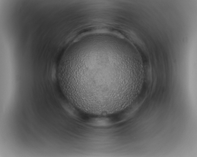 X0000116100266200911231131
